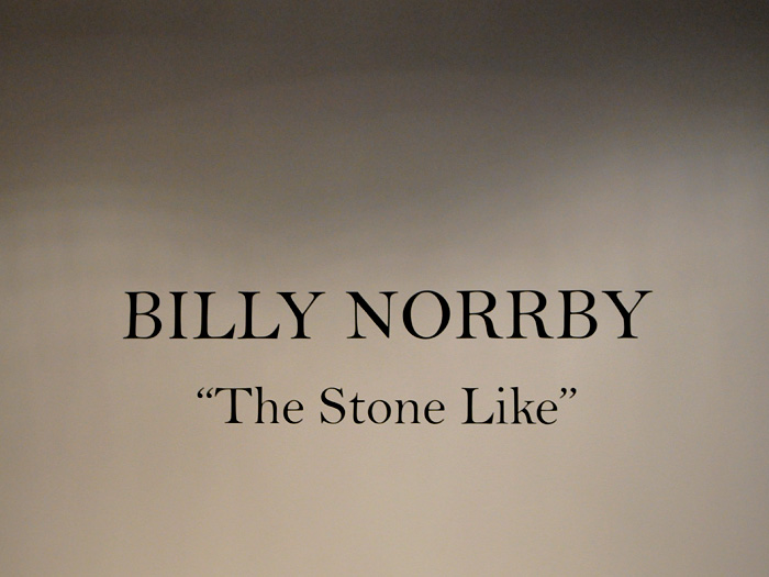 The Stone Like by Billy Norrby Art Show Exhibition at The Corey Helford Gallery CHG Circa Culver City Los Angeles - Denim Jeans Observer supports the Arts Community - Gallery Event Coverage - Oil Paintings